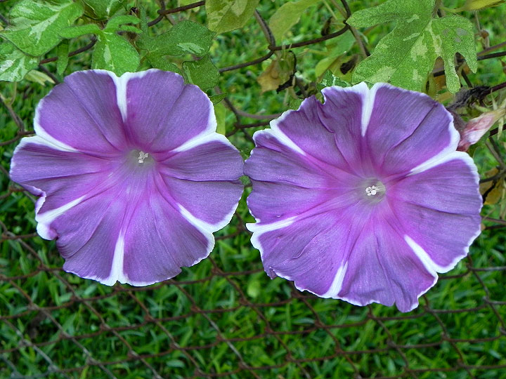 dscn3243