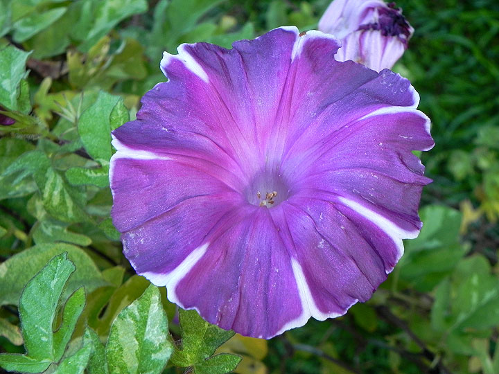 dscn3244
