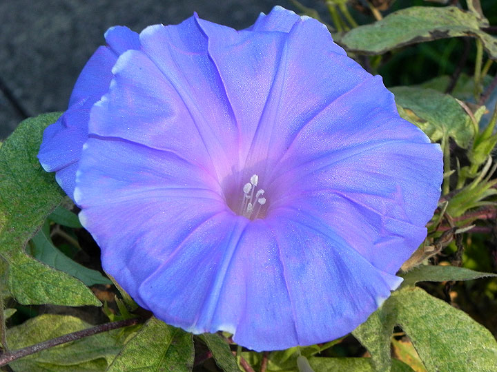 dscn3280_01
