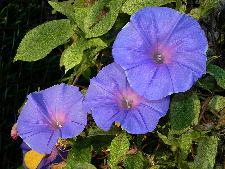dscn3281_01