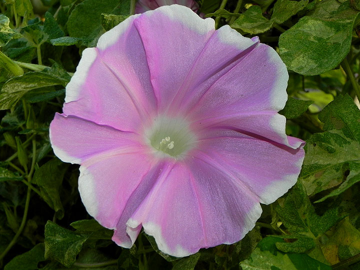 dscn3282_01