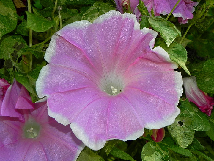 dscn3283_01