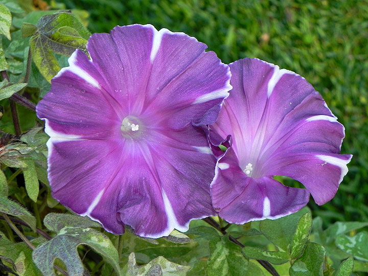 dscn3333