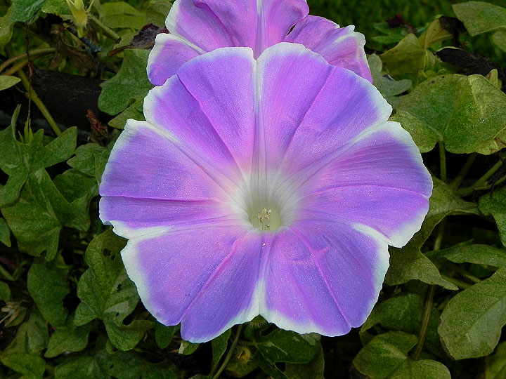 dscn3402