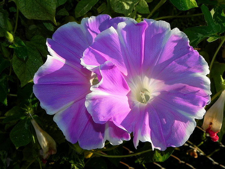 dscn3545