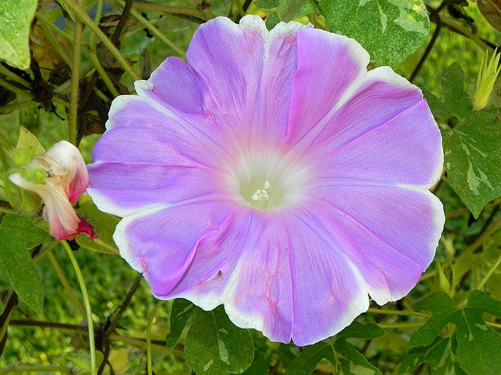 dscn3546