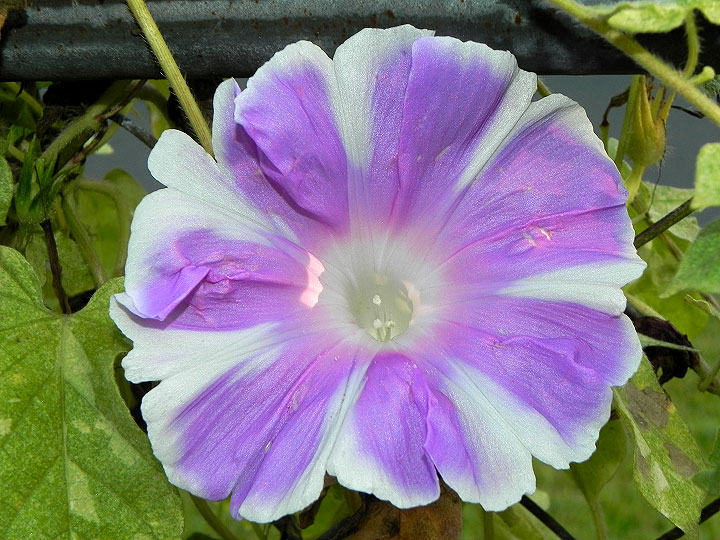 dscn3616