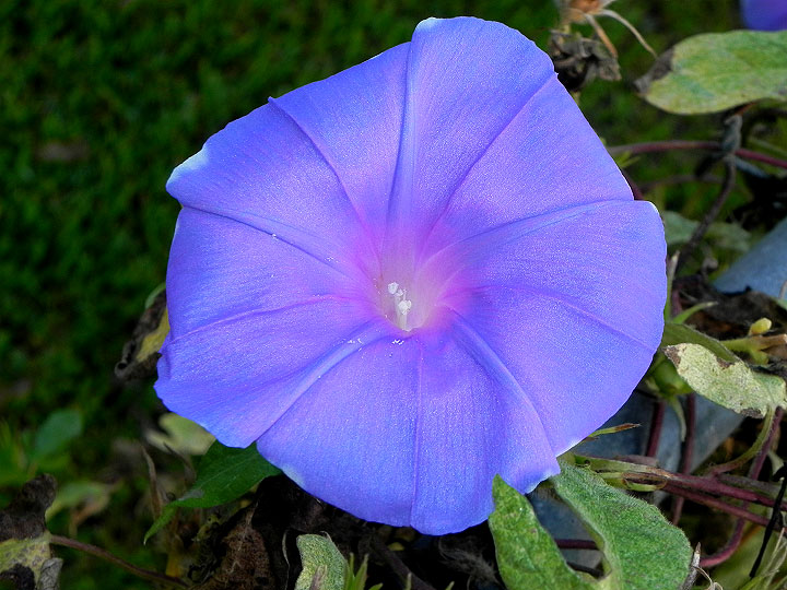 dscn3650