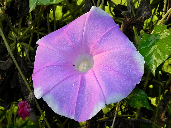 dscn3655