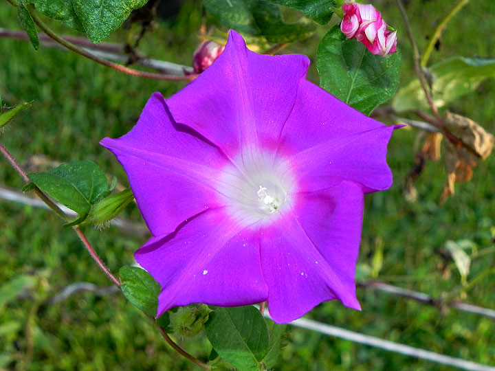 dscn3657