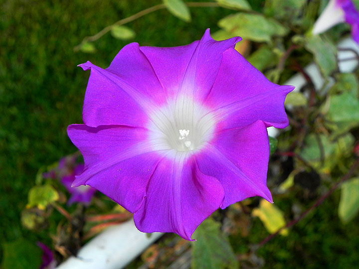 dscn3661