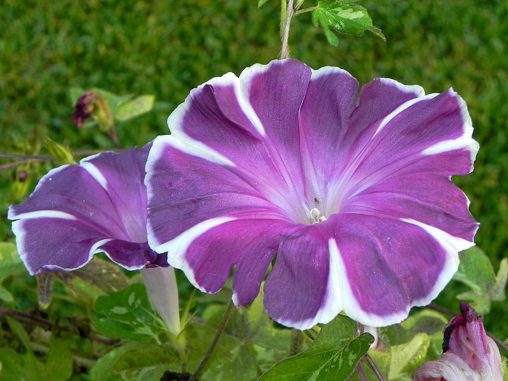 dscn3705