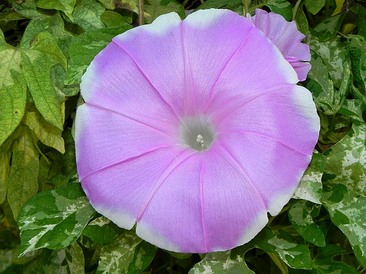dscn3726