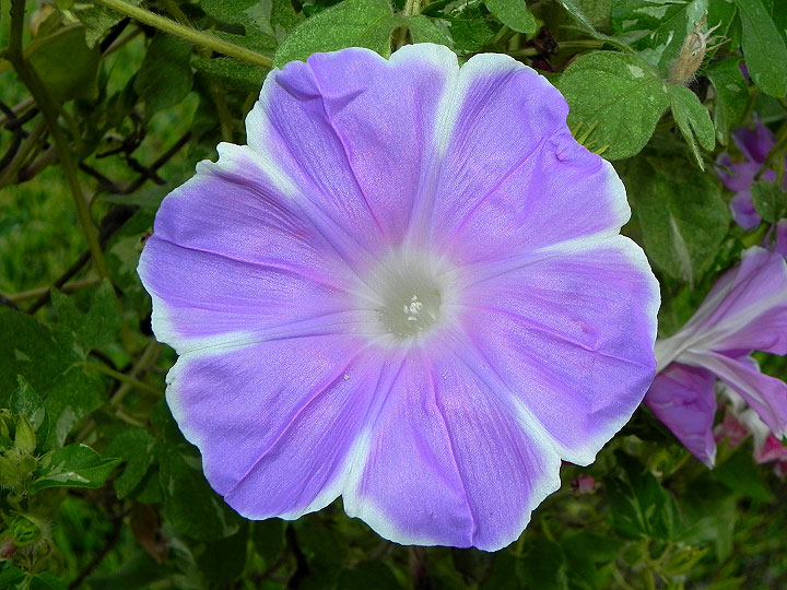 dscn3766