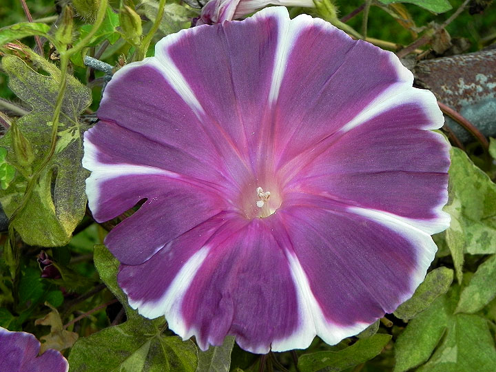 dscn3855