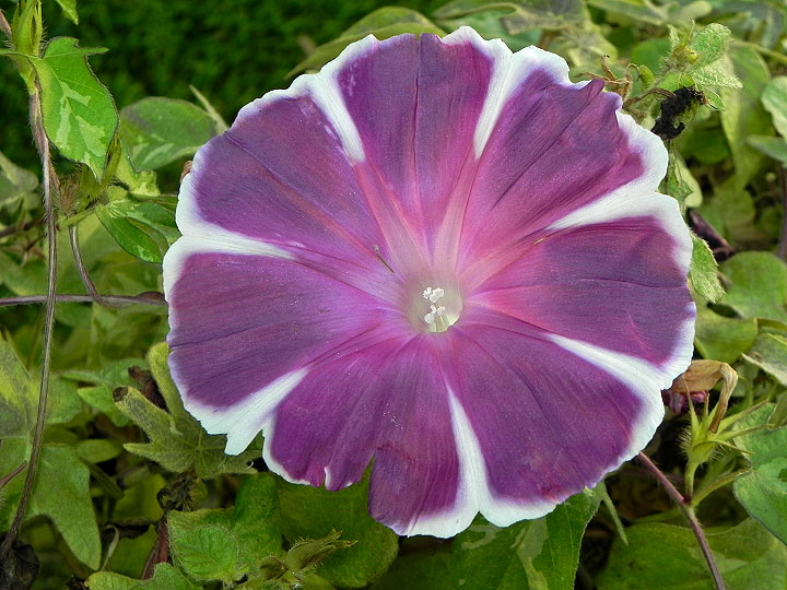 dscn3857
