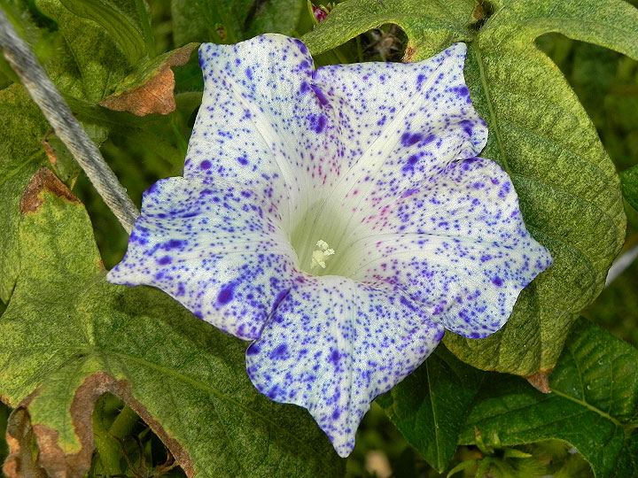 dscn3917