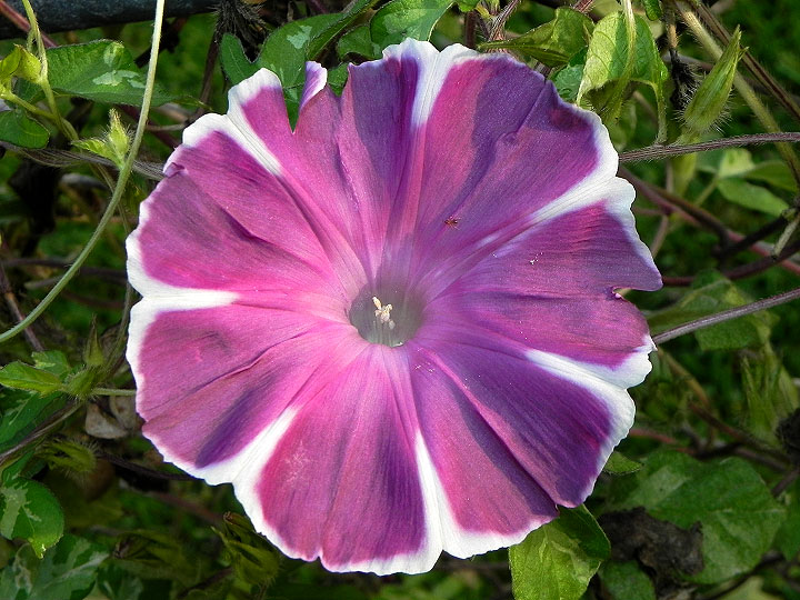 dscn3940