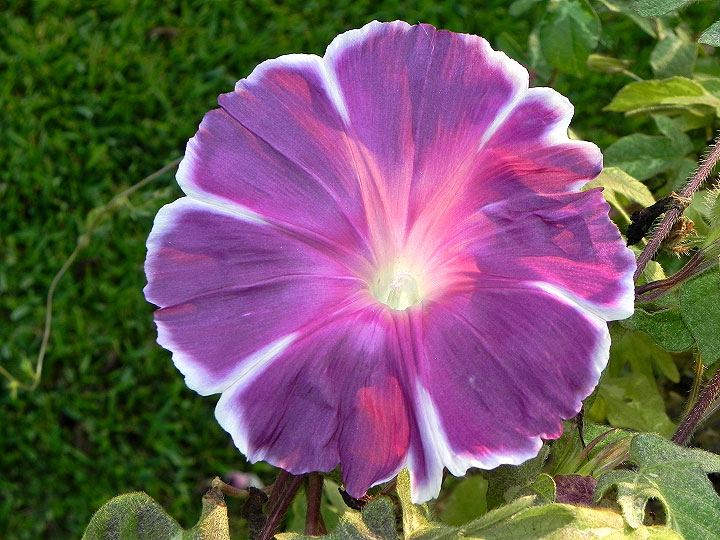 dscn4116