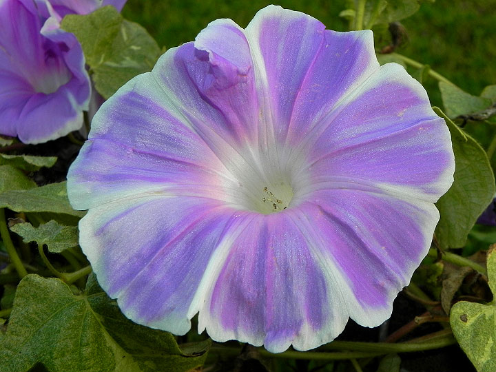 dscn4164