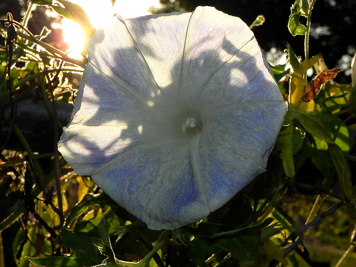 dscn4190