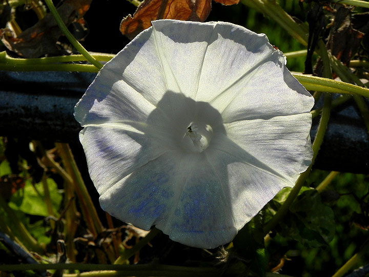 dscn4254