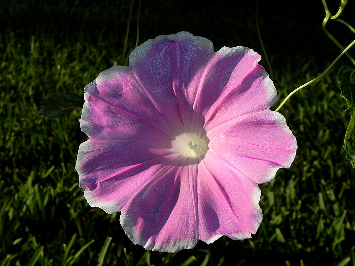 dscn4256_01