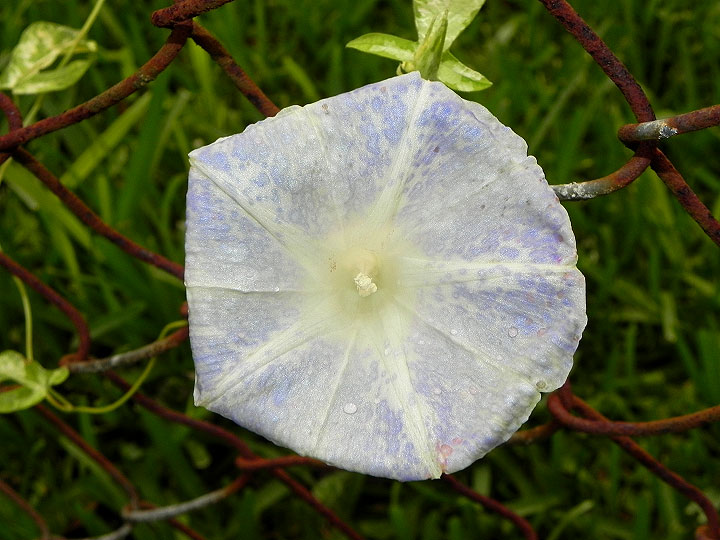 dscn4408_01