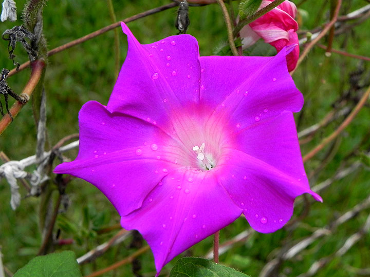 dscn4411_01