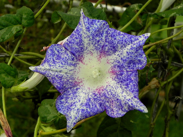 dscn4415_01