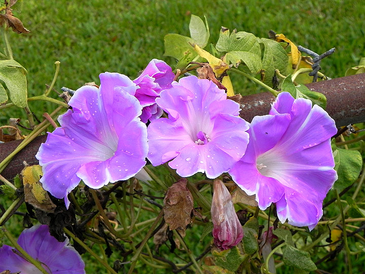 dscn4437_01