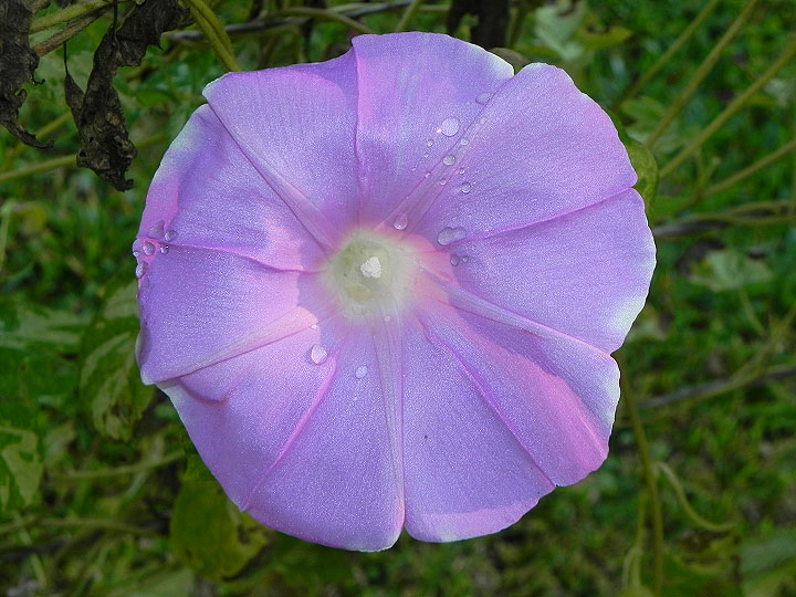 dscn4633