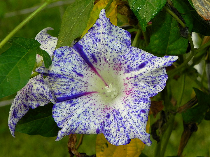 dscn5076
