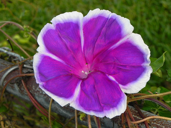 dscn5088_01