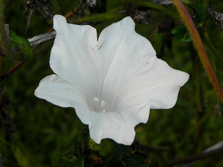 dscn5411_01