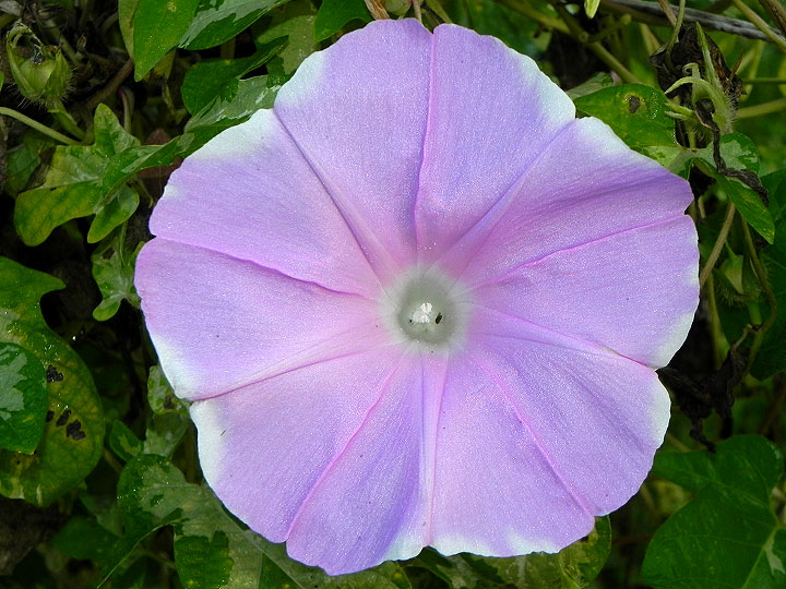 dscn5497_01