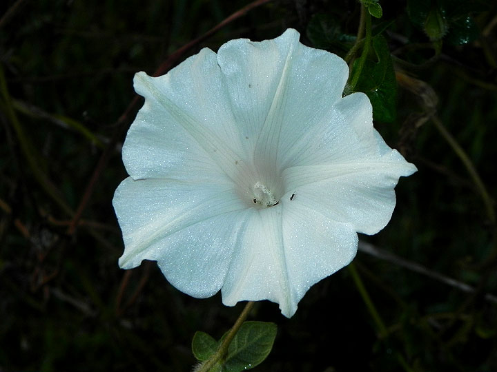 dscn5498_01