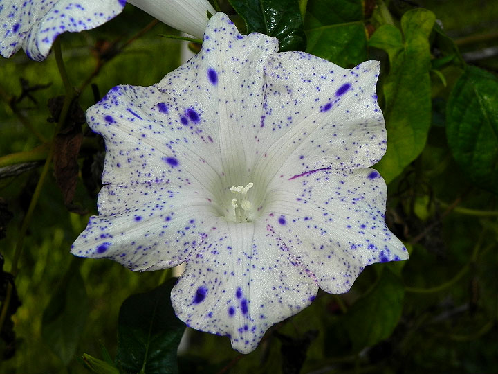 dscn5723
