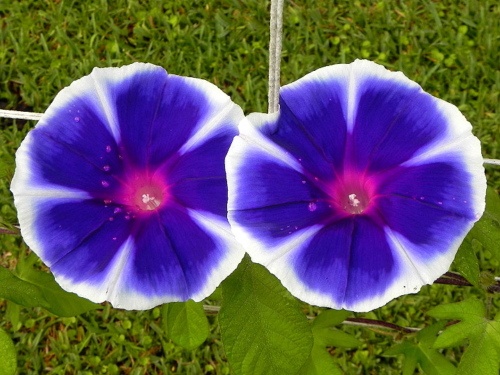 dscn6725