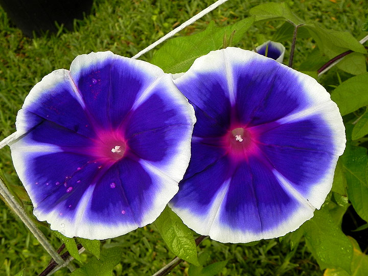 dscn6727