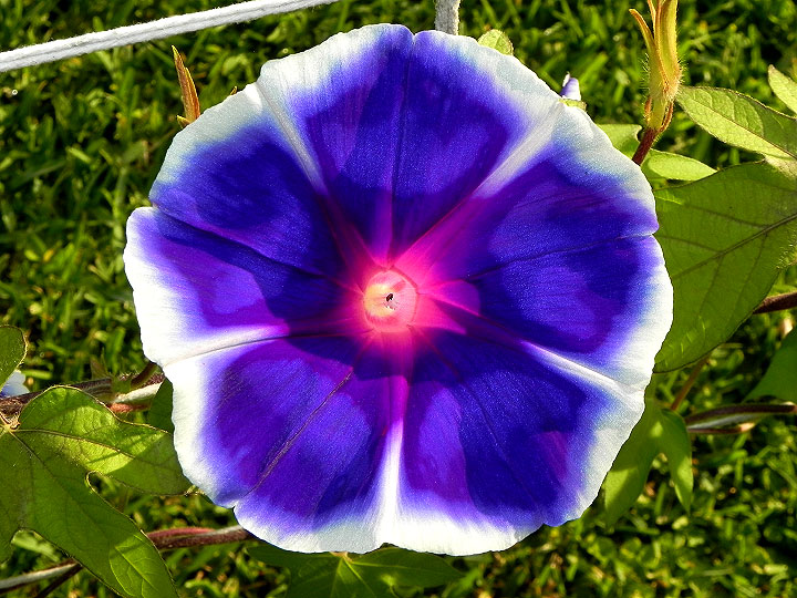 dscn6871