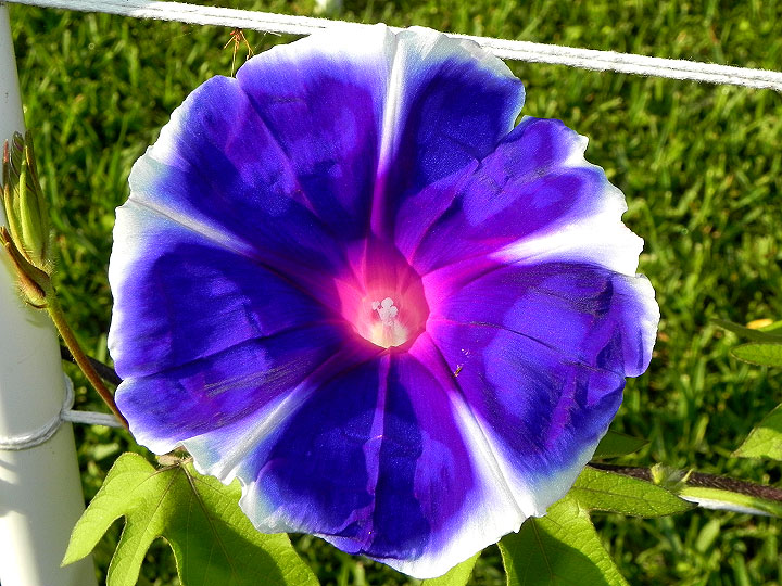 dscn6872