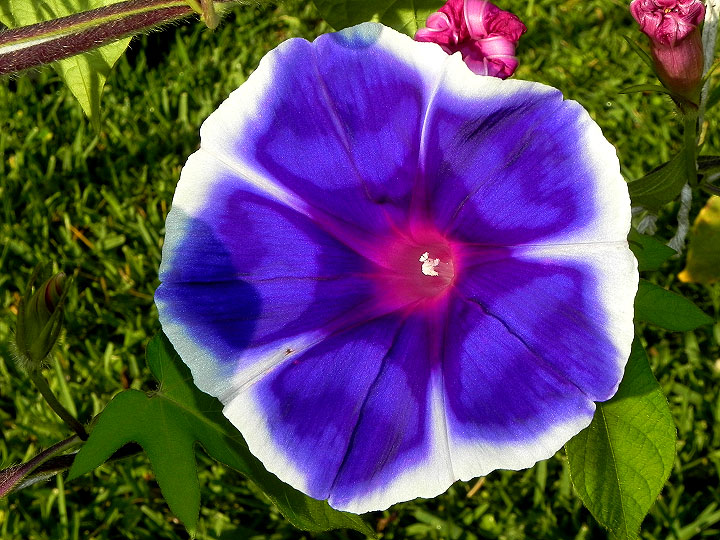 dscn6874