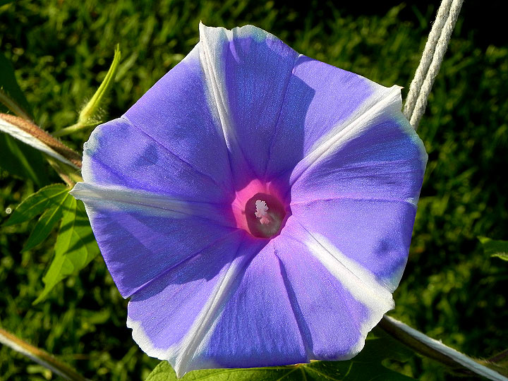 dscn6922