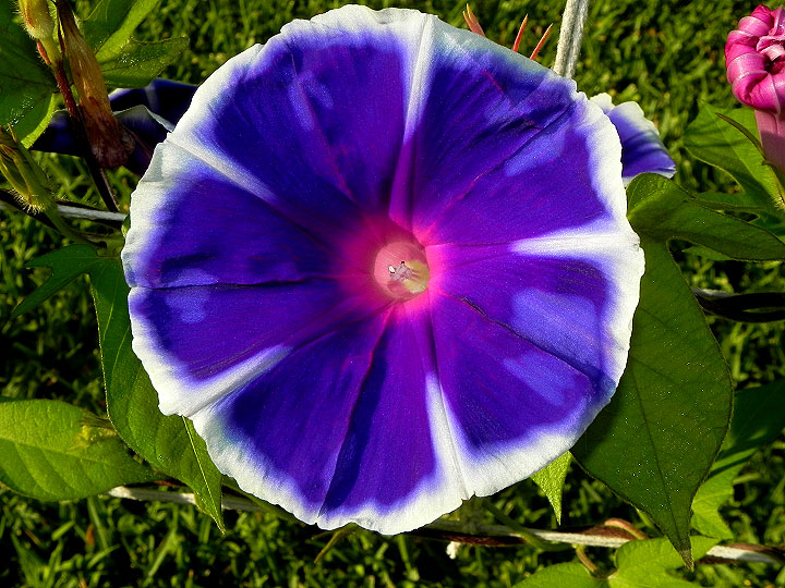 dscn7047