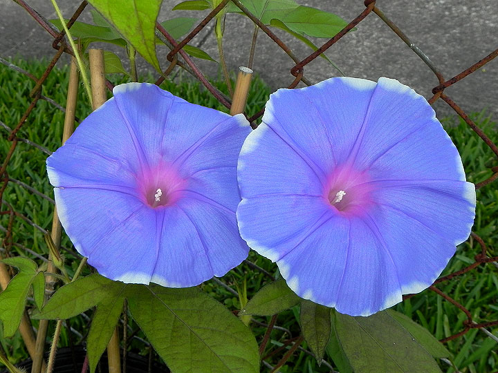 dscn7220