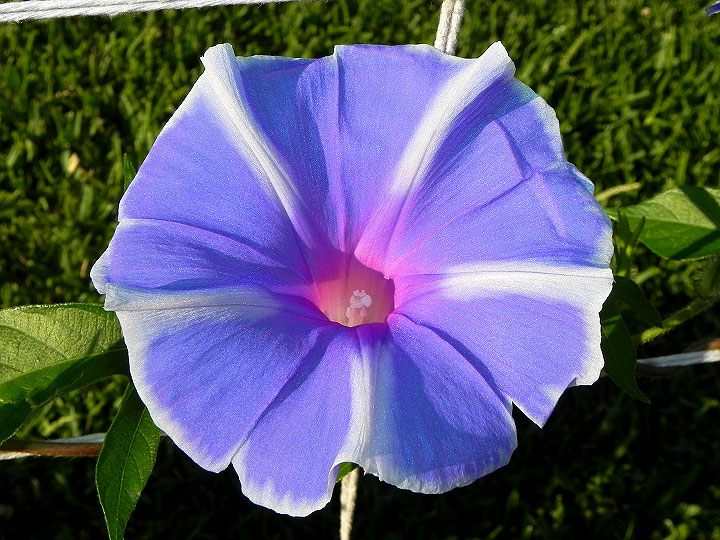 dscn7270