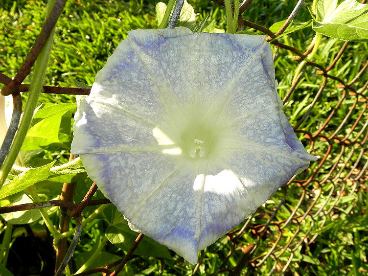 dscn7304