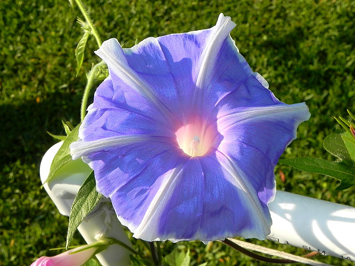 dscn7355