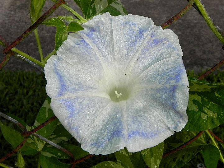 dscn7389